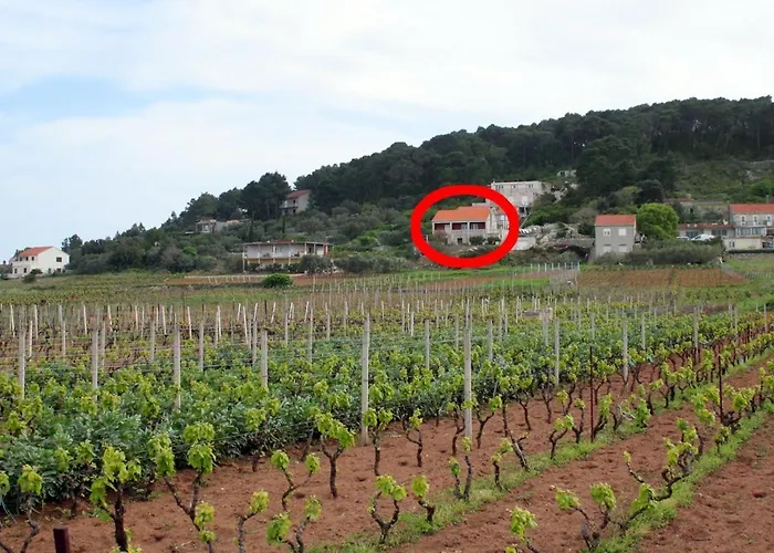With Parking Space Lumbarda, Korcula - 4352 公寓