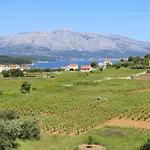 With Parking Space Lumbarda, Korcula - 4352 Lejlighed
