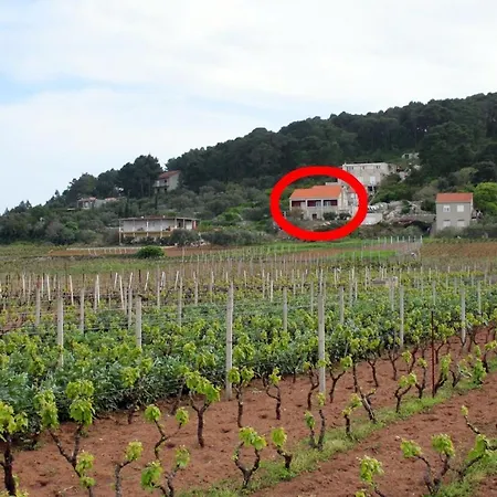 With Parking Space Lumbarda, Korcula - 4352 Apartament