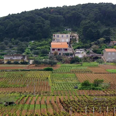 With Parking Space Lumbarda, Korcula - 4352 Apartament *