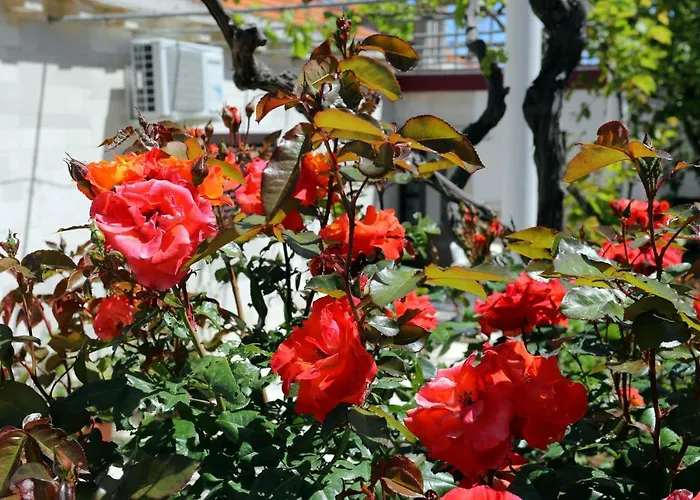 Appartement With Parking Space Lumbarda, Korcula - 4352 Lumbarda